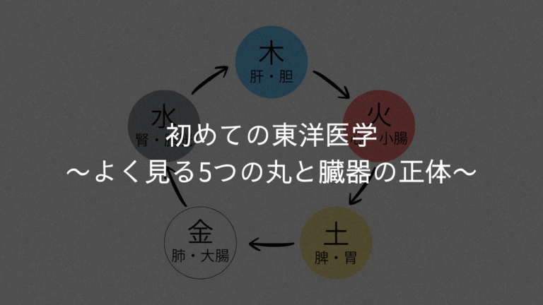 初めての東洋医学 〜よく見る5つの丸と臓器の正体〜